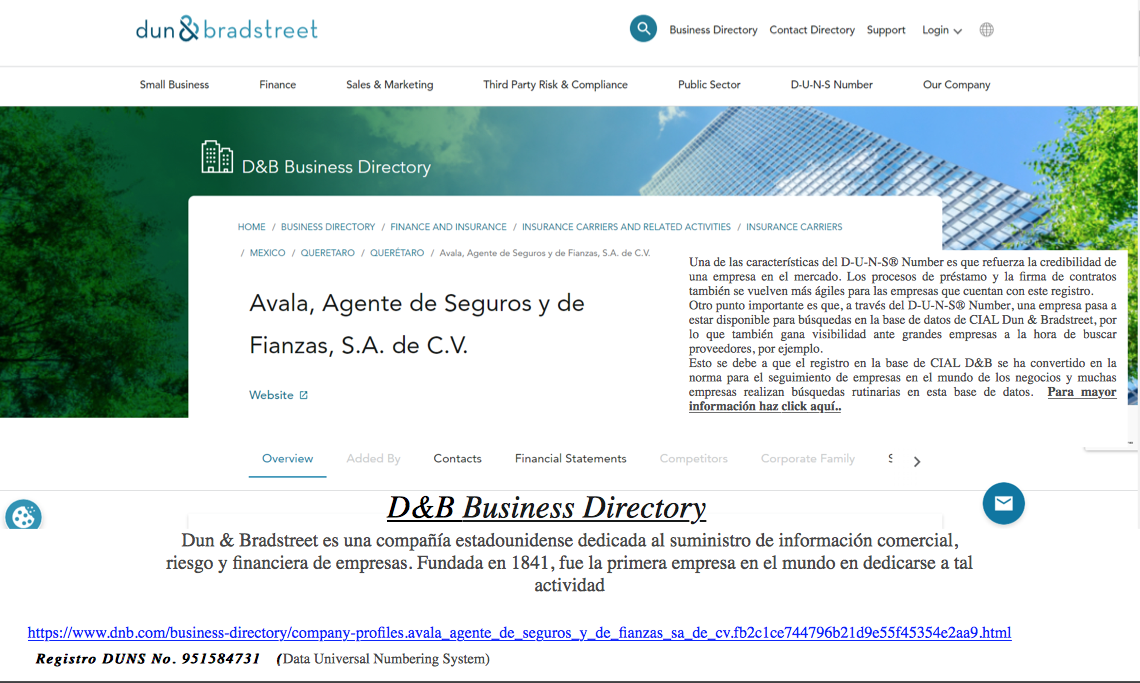 información de AVALA EN Dun & Bradstreet (D&B)
